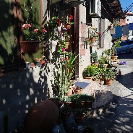 Guesthouse Gia ティビリシ エクステリア 写真